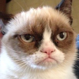 Meet your Posher, Reina